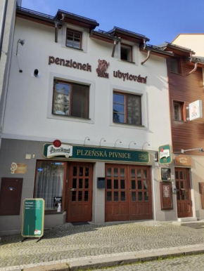 Ubytování nad Bisonem, Hlinsko V Cechách